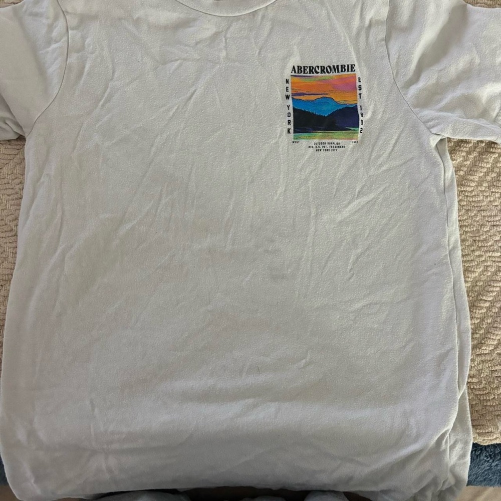 Abercrombie & Fitch Boys Graphic Tee (11/12)